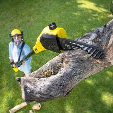 Reliable Norridge, IL Tree Removal and Landscaping Services Solutions